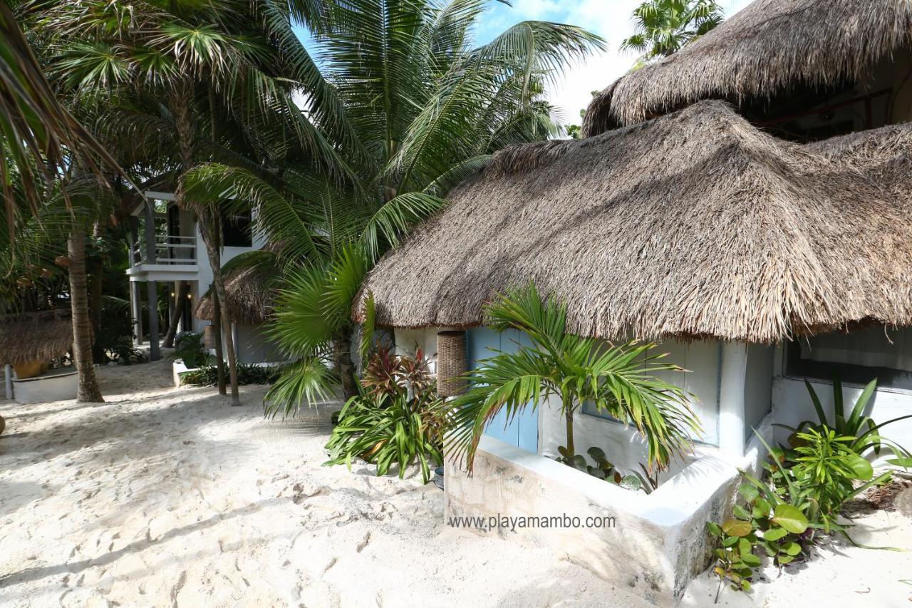ホテルPlaya Mambo Eco Cabanas トゥルム エクステリア 写真