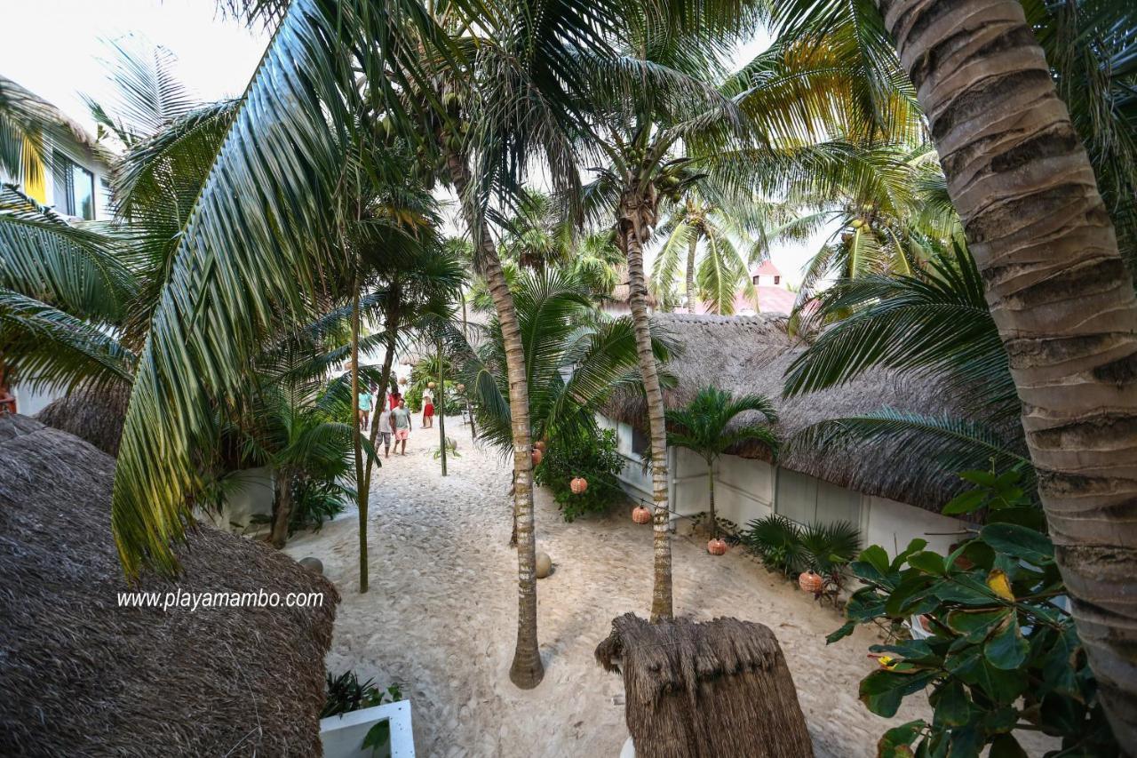 ホテルPlaya Mambo Eco Cabanas トゥルム エクステリア 写真